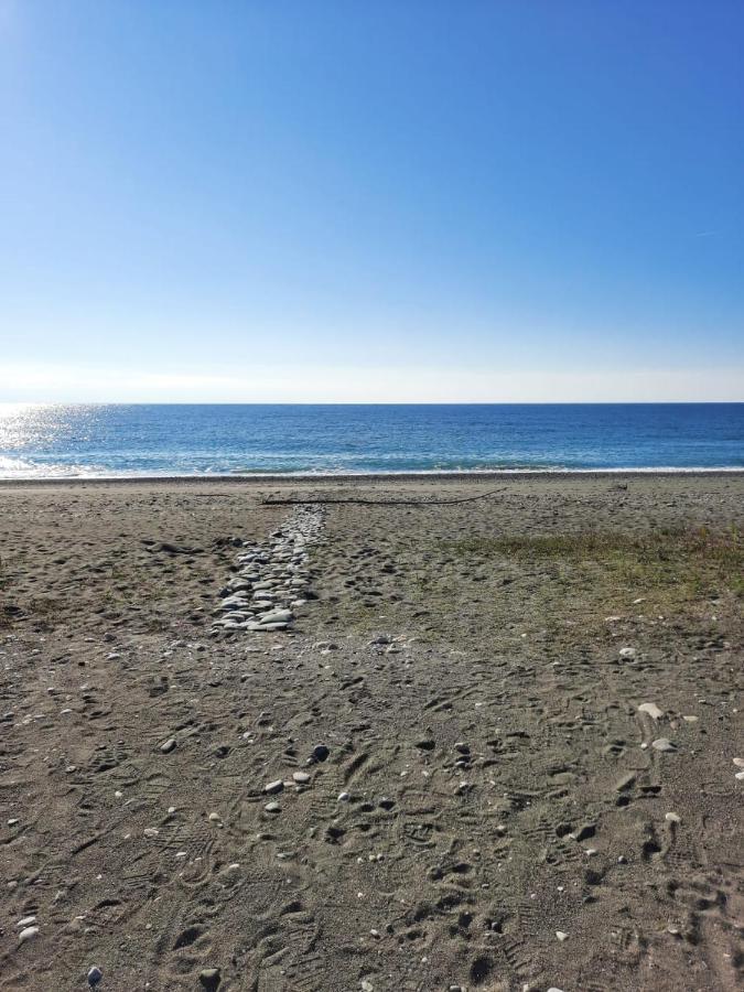 Гостевой Дом La Mer Pizunda Extérieur photo